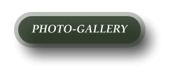 PHOTO-GALLERY